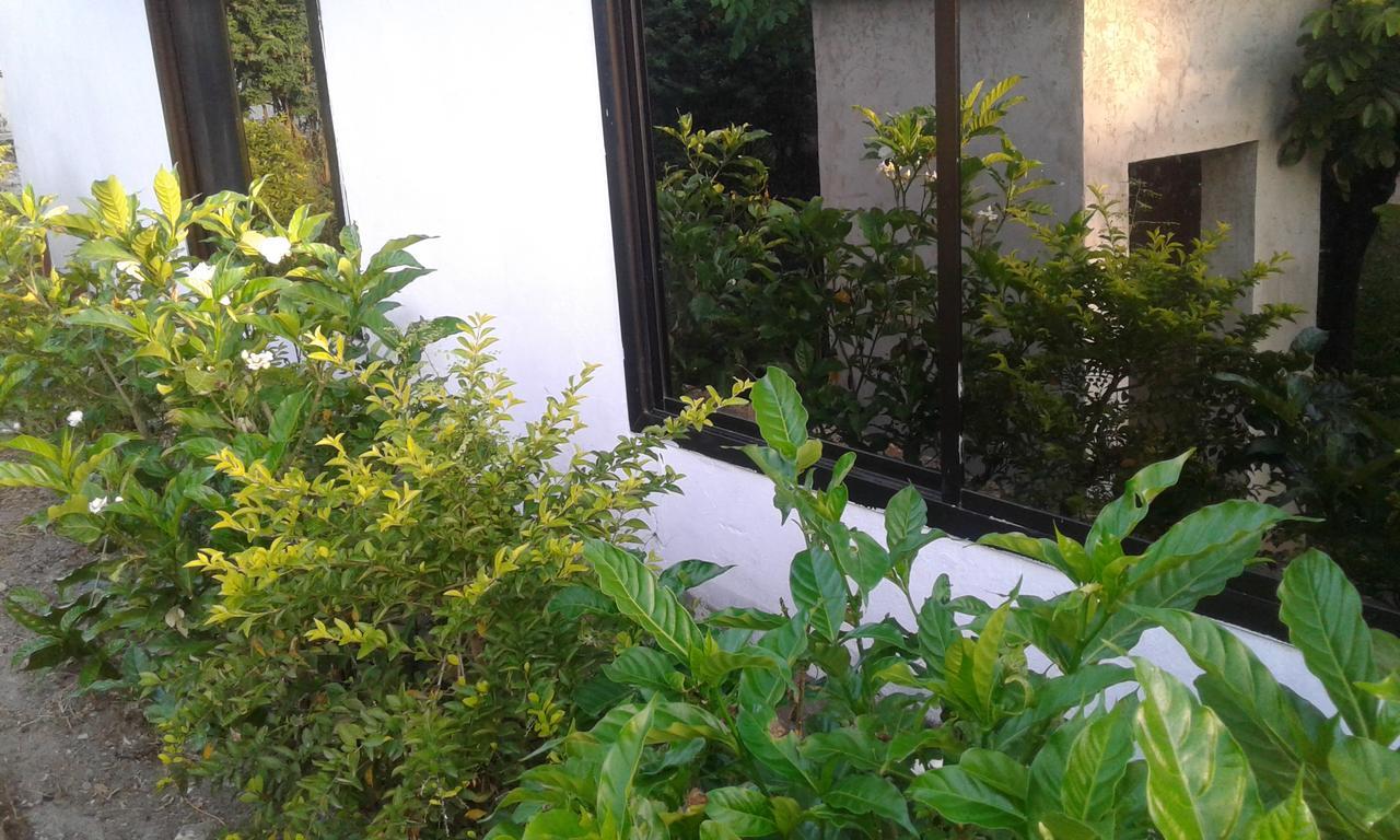 Jj & Je Family House Vandrehjem Dar es Salaam Eksteriør billede